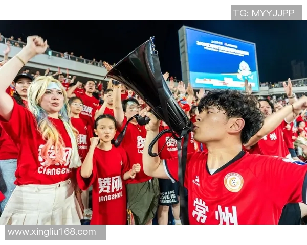 足球明星座位套的独特魅力与时尚设计让每位球迷都能感受到赛场的热情