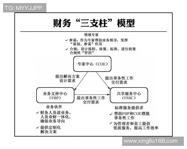 广州排球队转型之路的挑战与机遇探索全新发展战略与未来愿景